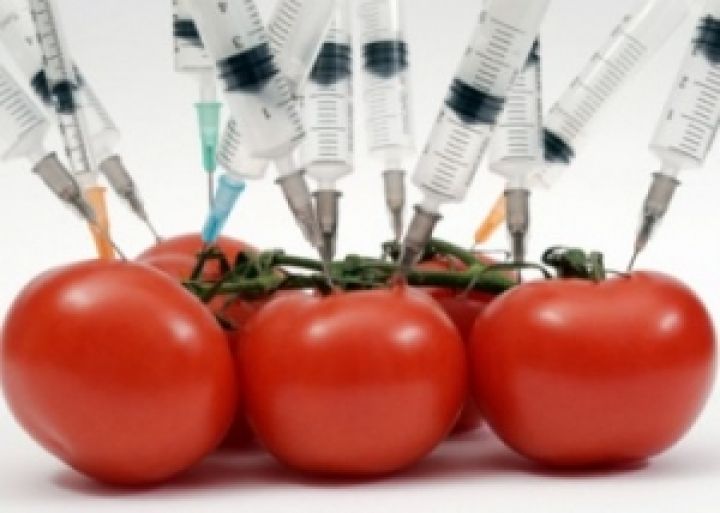 Украинские ученые советуют не поддаваться ГМО-панике, охватившей Европу