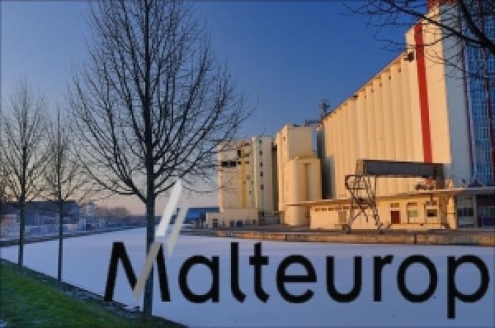 Malteurop планирует приобрести зерноперерабатывающее предприятие в Черниговской области