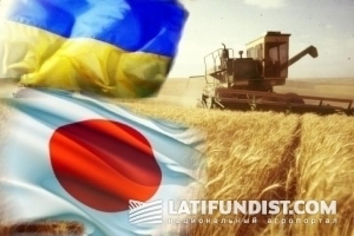 Япония активно интересуется украинским зерном