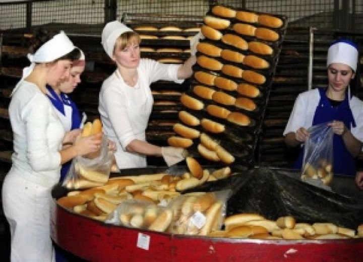 Сегодня Янукович откроет крупнейший украинский хлебозавод 