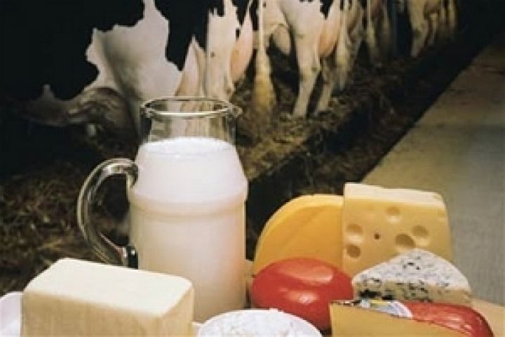 Украина завершает приведение качества экспортируемой молочной продукции к стандартам Европы и СНГ