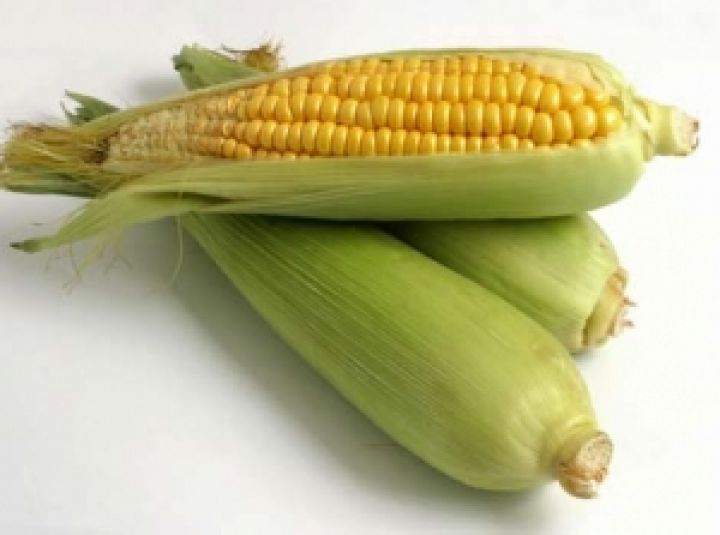 Филиппины могут начать экспортировать кукурузу 