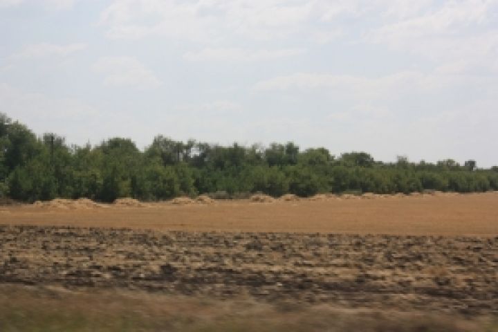 В Украине недоиспользуют 5 млн. га сельхозземель?
