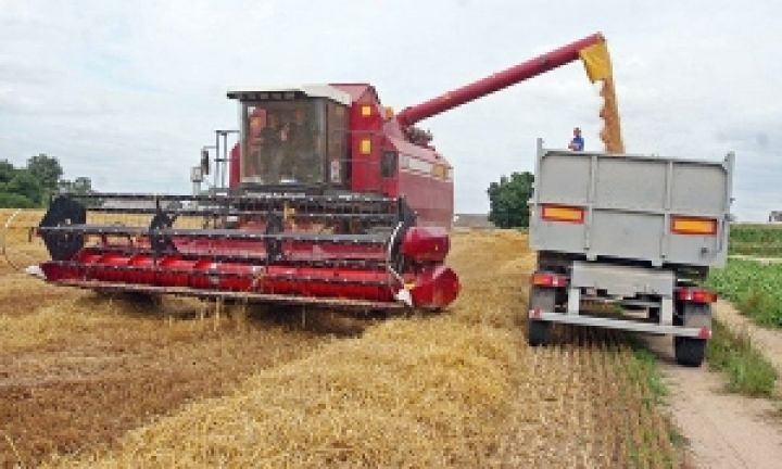 В Украине собрали почти 40 млн. тонн зерна