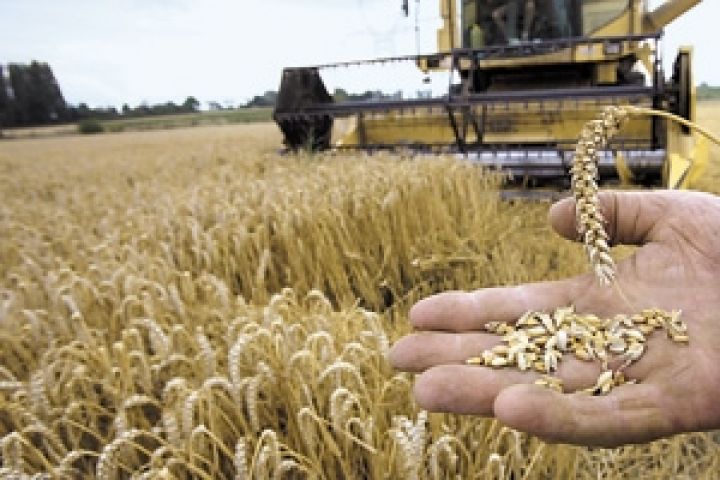 Украина подтвердила скорое введение эмбарго на экспорт пшеницы