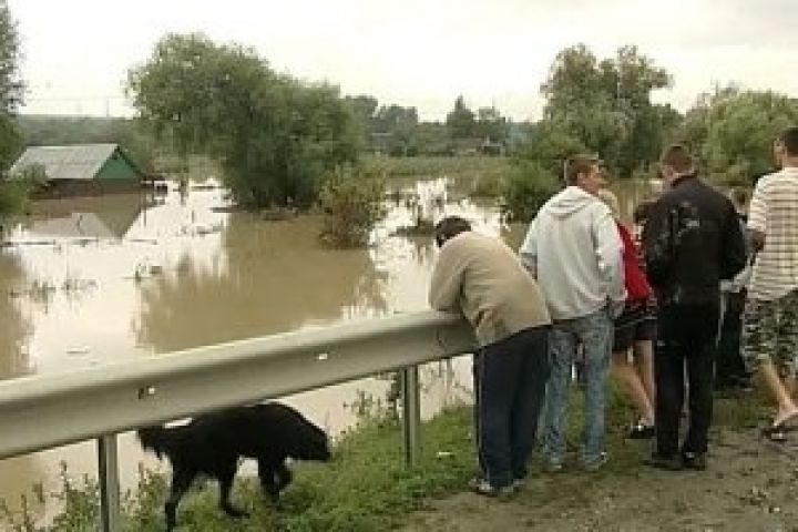  Великобритания. Наводнение уничтожило урожай овощей