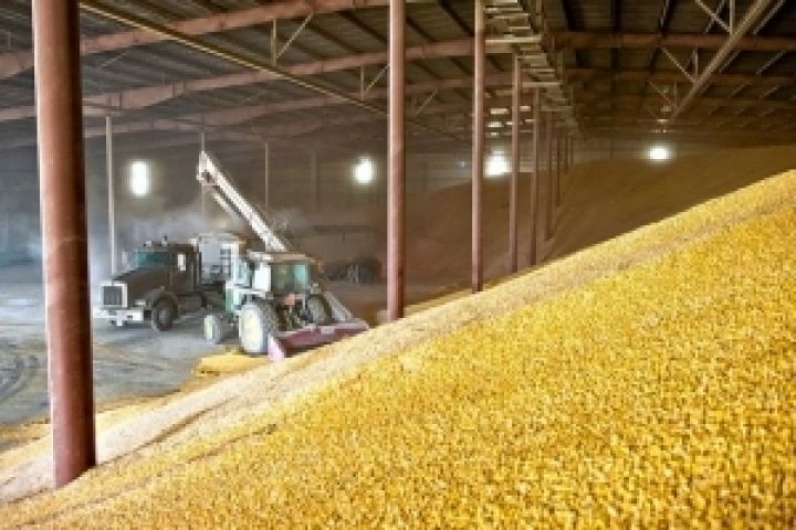Экспорт украинской кукурузы может составить 12 млн. тонн в 2012/2013 МГ