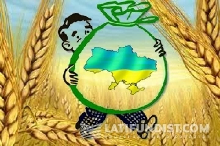 Украина за 5 лет увеличила производство зерна на треть и подсолнечника на 58%