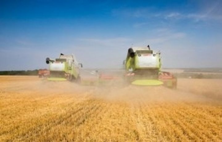 Экспорт российского зерна достиг 10 млн. тонн – ИКАР
