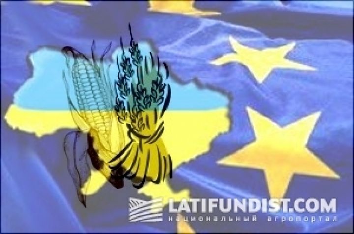 Половину поставок зерна в ЕС будет осуществлять Украина