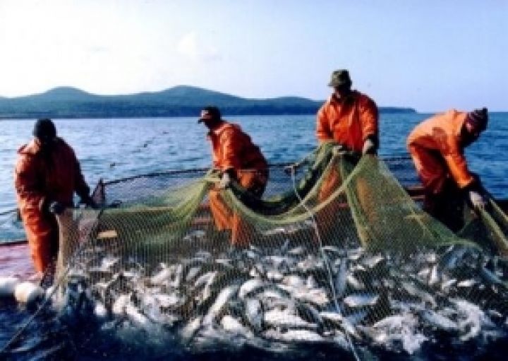 Россия и Украина договорились о рыбном промысле в Азовском море