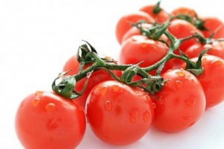 В Европе растет спрос на томаты черри 