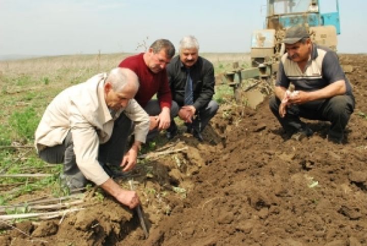 Украинские аграрии практически завершили осеннюю посевную кампанию