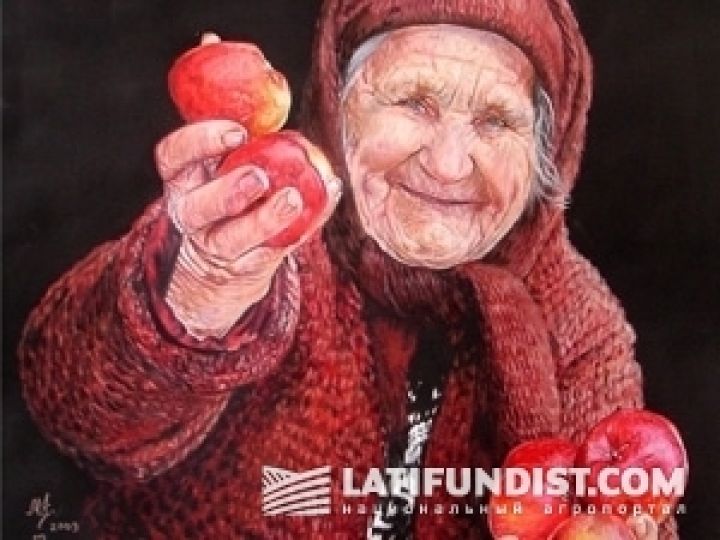 Информация о резком росте экспорта яблок из Украины не соответствует действительности — АПК-Информ: овощи и фрукты