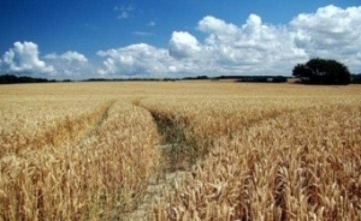 Для многих людей продажа сельскохозяйст­венных земель — это продажа Украины