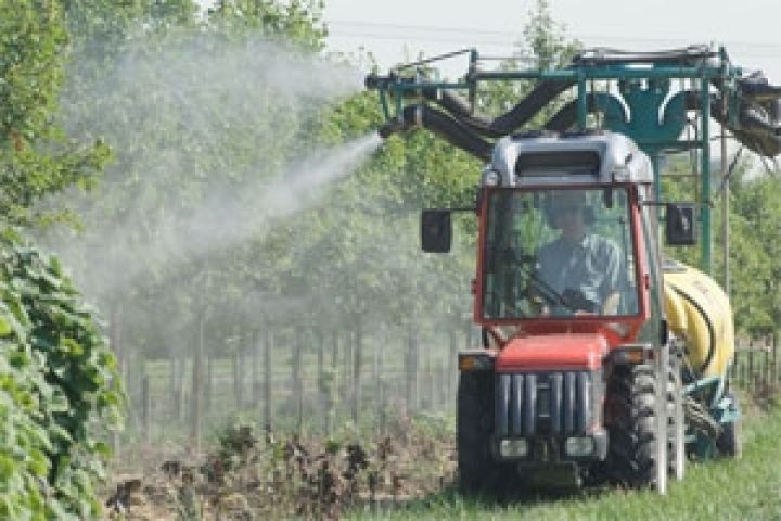 В израильских овощах самое большое количество пестицидов 