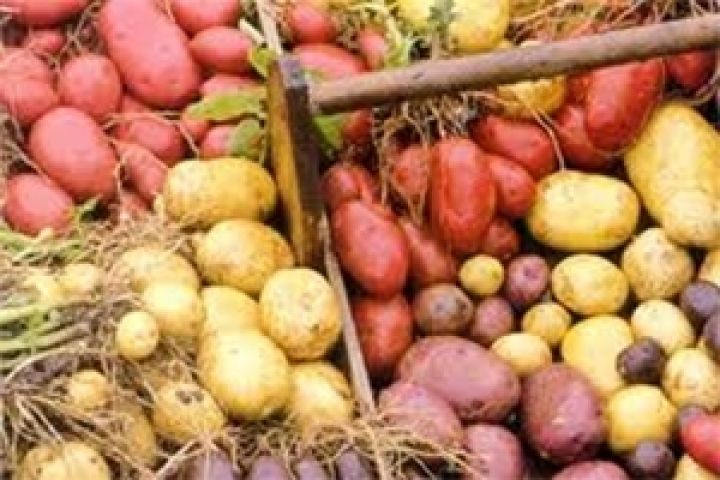 В Армении зимой подорожает картофель