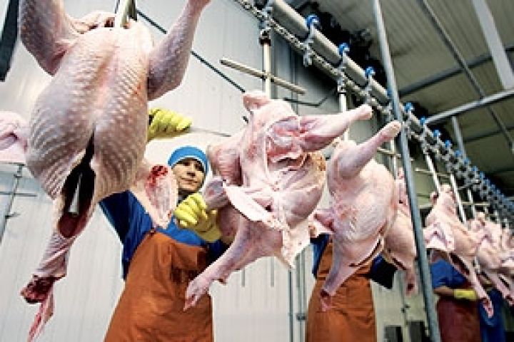 Таможенный союз ограничил ввоз мяса птицы из Индии