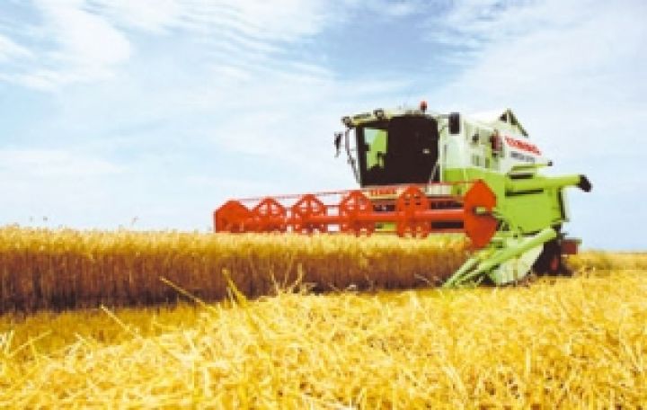 В Украине создан Аграрный страховой пул