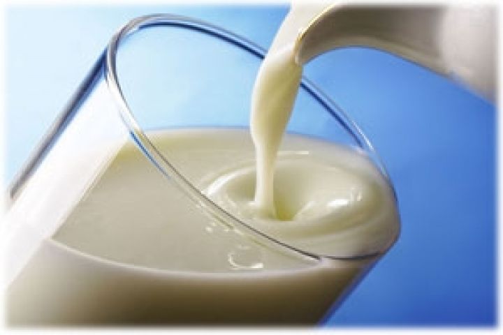 Мировое молочное производство показывает рост