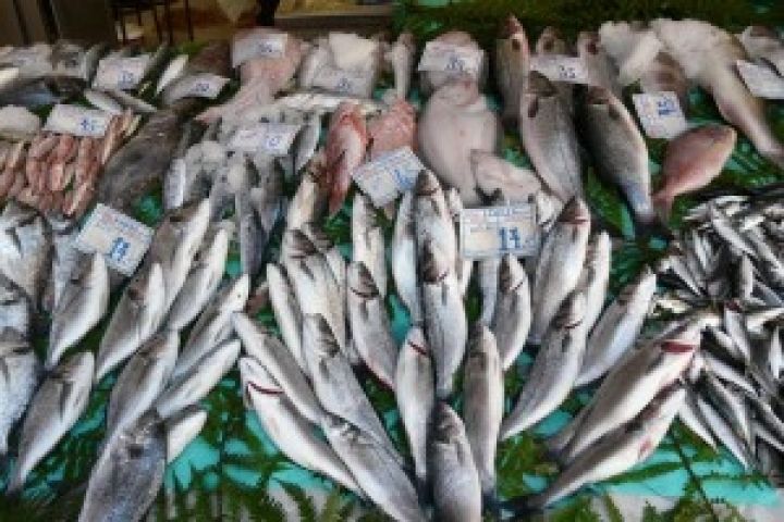 Россия. Более 9 тонн незаконно ввезенной рыбы выявлено в Новосибирской области