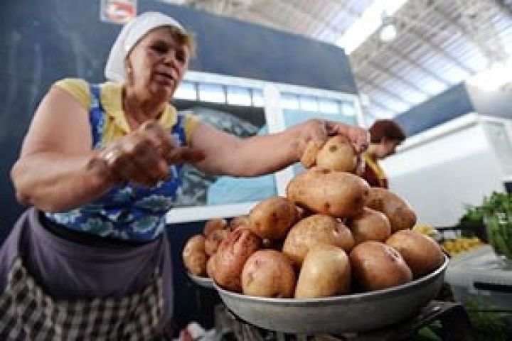 Украинские производители продают картофель по себестоимости
