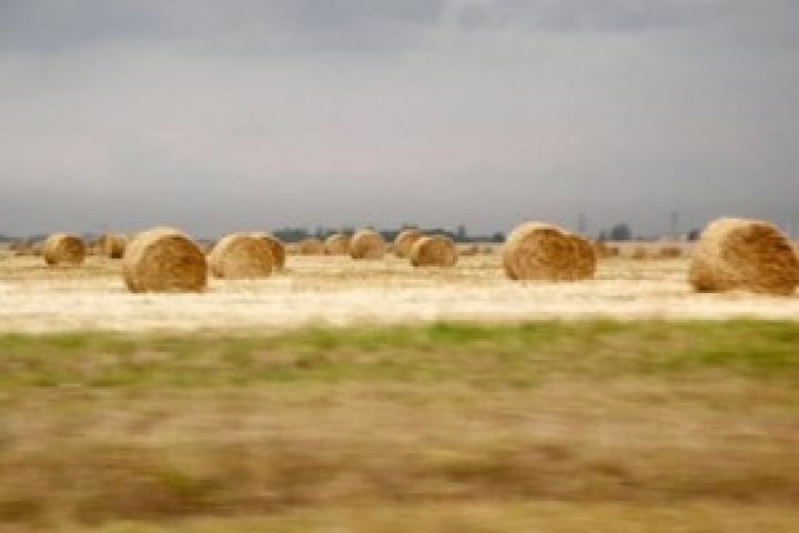 Сельхозземля в Польше подорожала на 20%