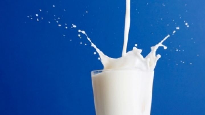 Надои молока зависят от вида корма 