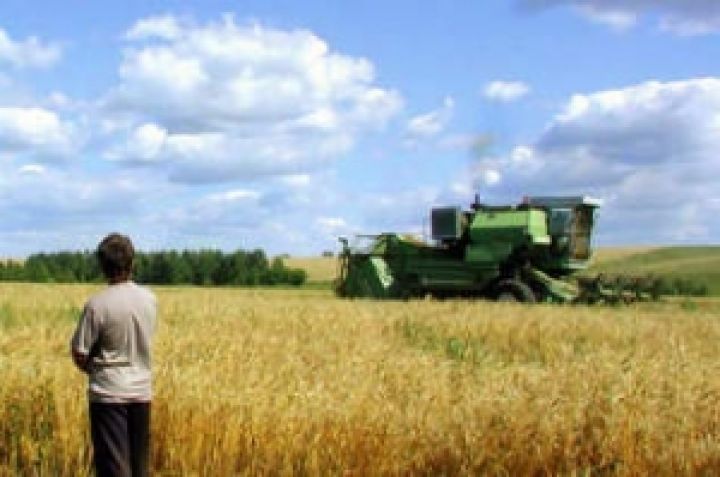 Аграрный сектор Украины привлек кредитов на 11 млрд гривен
