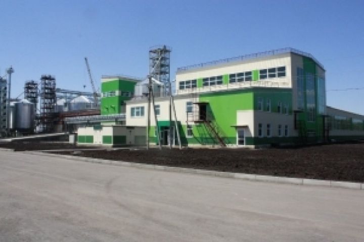 В Украине ожидается бум инвестиций в семенные заводы