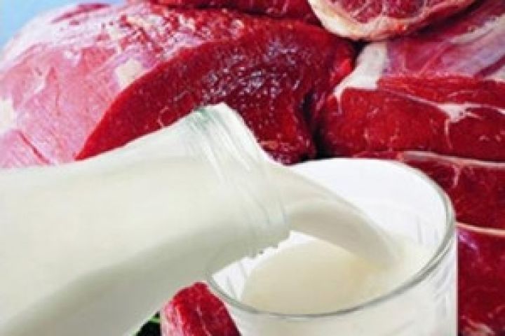 Россия увеличила за 10 месяцев производство мяса и молока