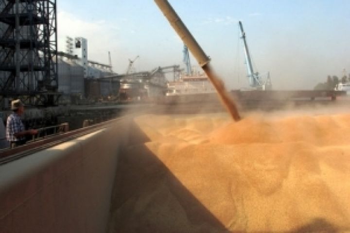 США наращивает экспорт пшеницы