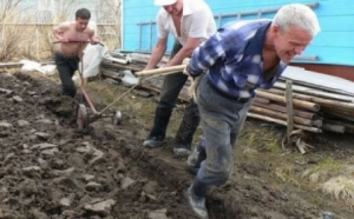 Аграрии юга Украины написали открытое письмо Азарову
