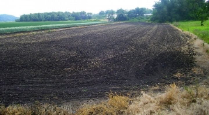 Украина усовершенствует систему сохранения плодородия почв с помощью опыта Германии