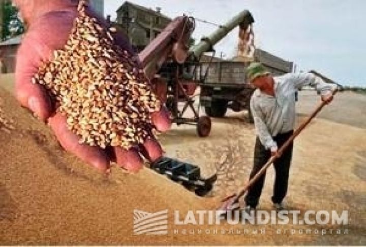 В Украине создан гарантийный фонд выполнения обязательств по складским документам на зерно