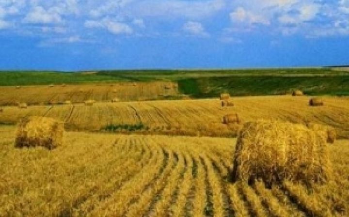 За 5 лет в Украине продано земли на 7 миллиардов гривен 