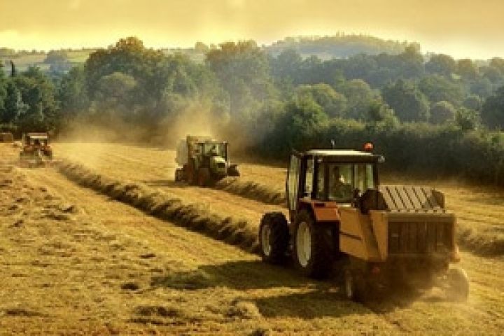 Россия может ввести антидемпинговую пошлину на импорт сельхозтехники