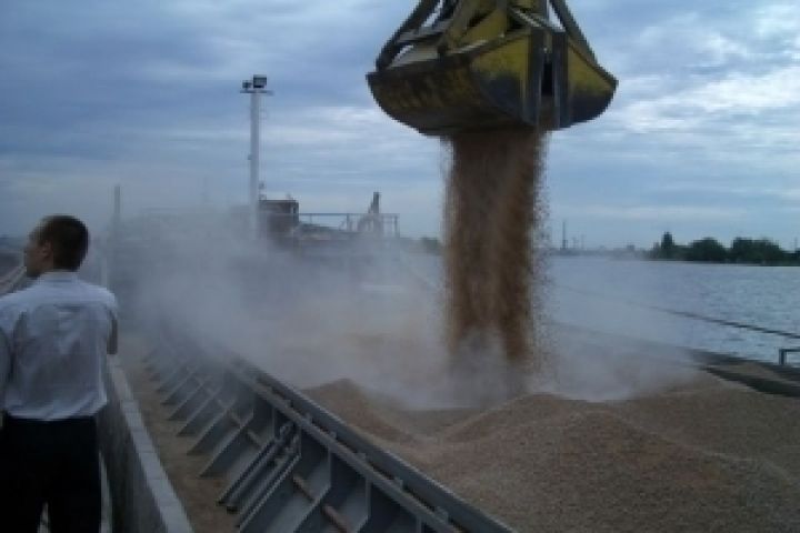 Украина закроет экспорт пшеницы 26 ноября?