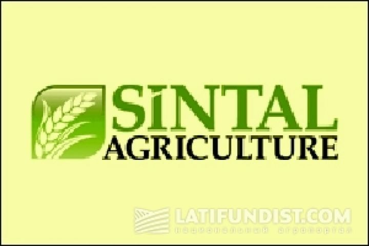 Аграрный холдинг Sintal Agriculture решил избавиться от сахарного бизнеса 