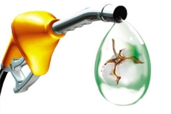 Бразилия вновь повышает процент содержания биоэтанола в бензине 