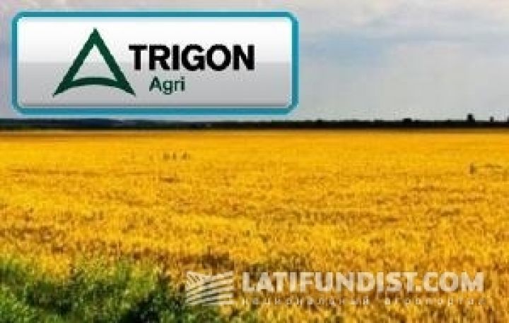 Trigon Agri пополнила земельный банк на 71 тыс. га