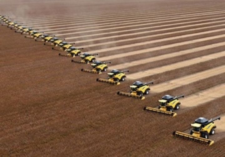 Урожай зерна в Китае установил новый рекорд