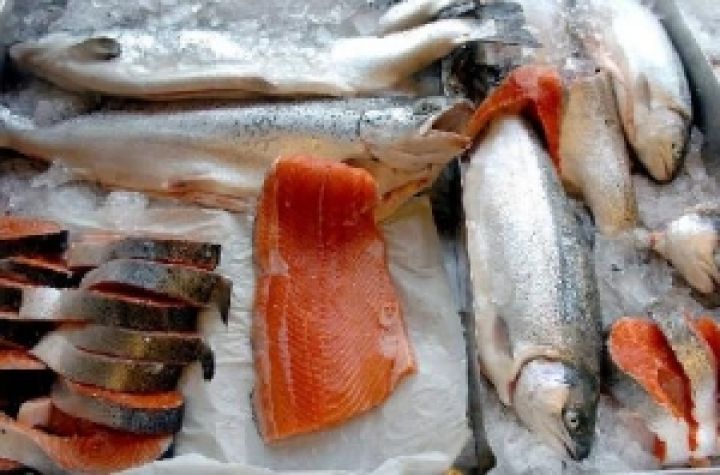 Норвегия инвестирует в украинское рыболовство
