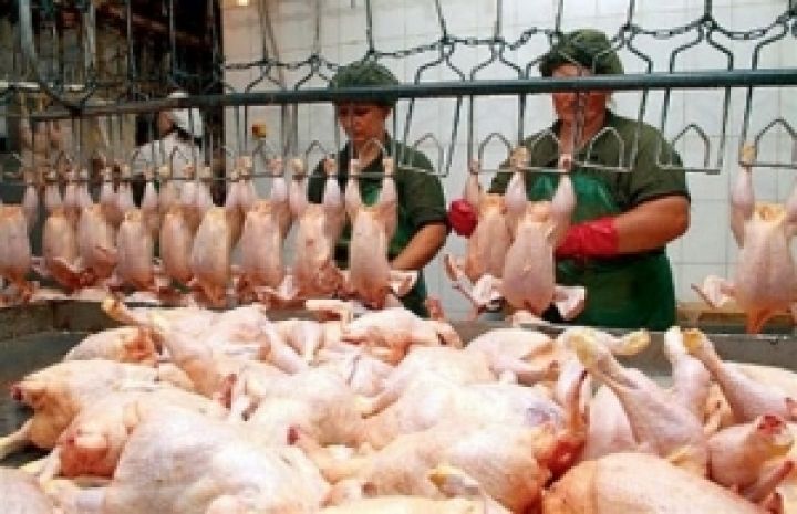 Украина экспортирует около 80 тыс. тонн курятины