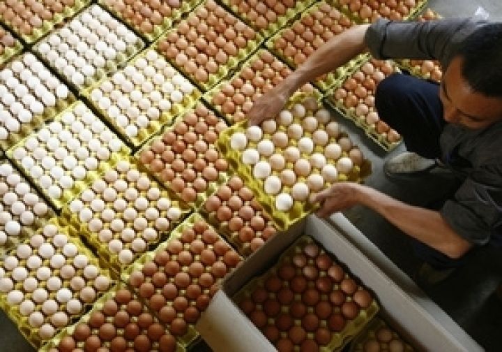Овостар Юнион понизил прогноз производства яиц в 2012 году