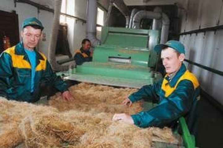 Россия. Правительство намерено развивать льноводство 