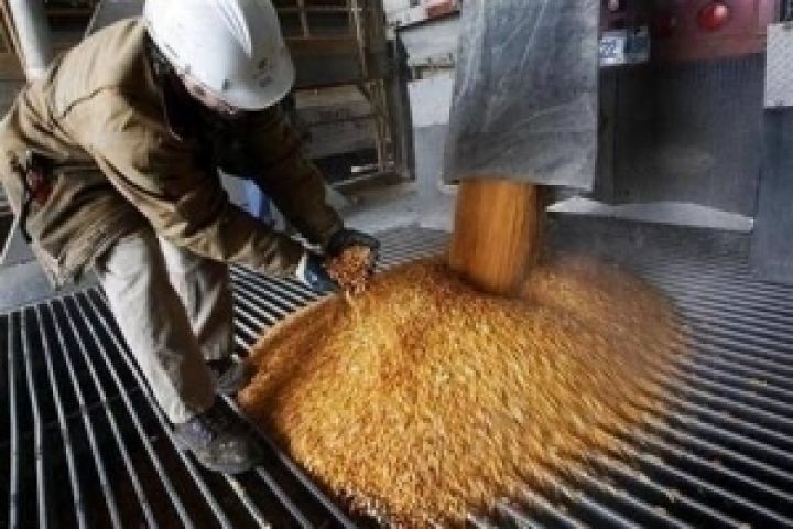 Агрохолдинг Бахматюка планирует поставить 50–100 тыс. тонн кукурузы в Китай до конца 2012 года