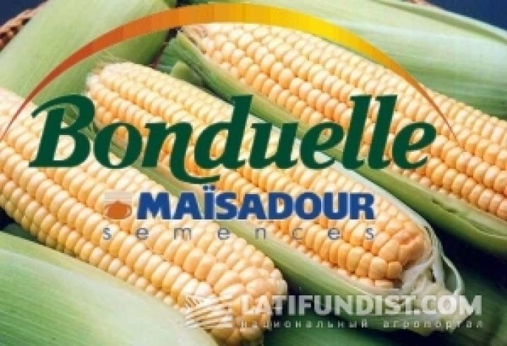 Maisadour Semences вместо Bonduelle займется аграрным производством в Черкасской области