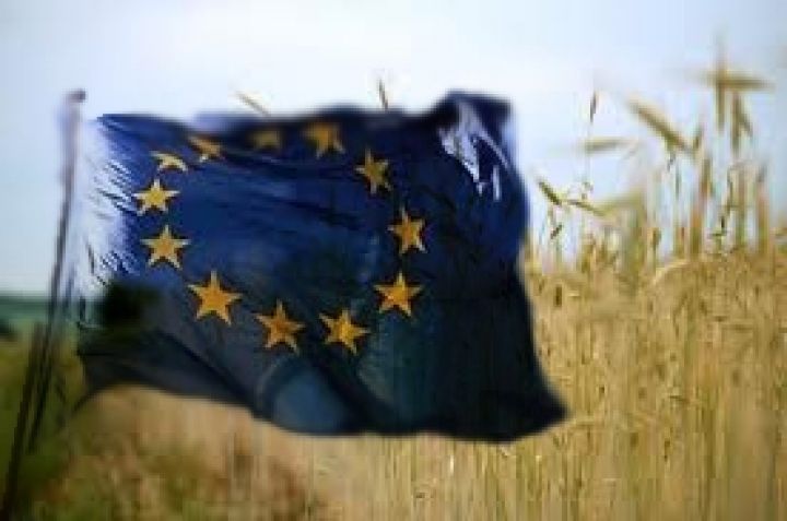 Евросоюз. Евро угнетает мукомольную пшеницу