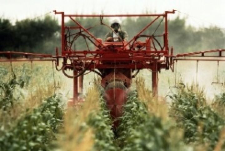 Более 10% мирового рынка пестицидов является нелегальным 